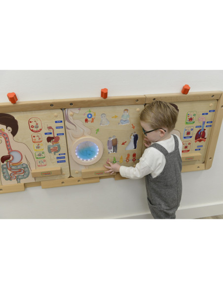 MASTERKIDZ Tablica Edukacyjna Cykl Życia Człowieka