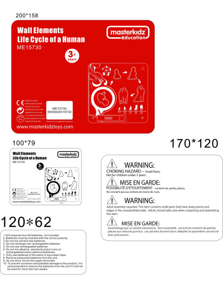 MASTERKIDZ Tablica Edukacyjna Cykl Życia Człowieka