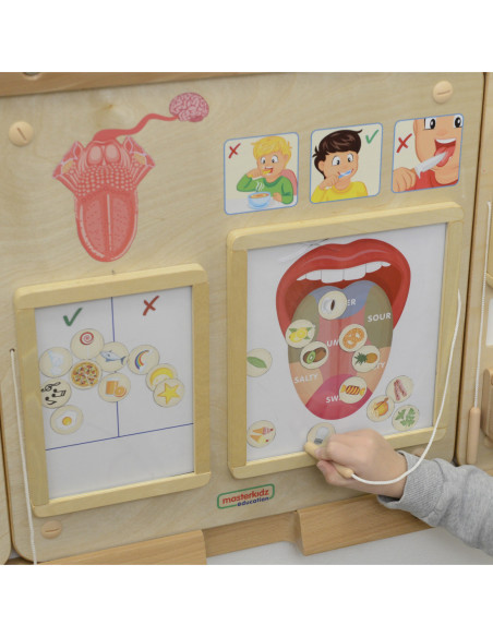 MASTERKIDZ Tablica Edukacyjna Zmysł Wzroku