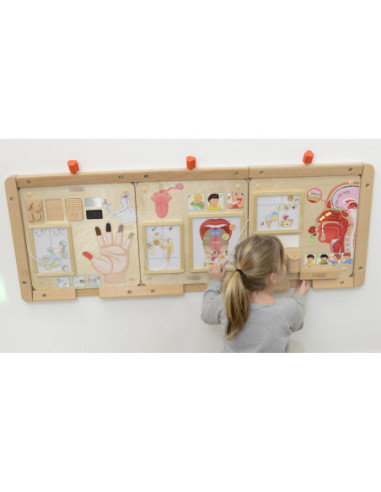 MASTERKIDZ Tablica Edukacyjna Zmysł Wzroku