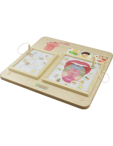 MASTERKIDZ Tablica Edukacyjna Zmysł Wzroku