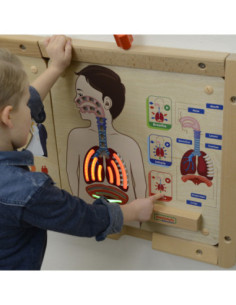 MASTERKIDZ Tablica Edukacyjna Układ Oddechowy 2