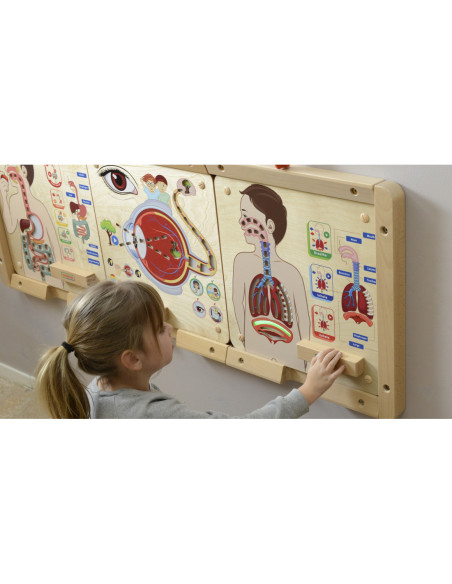 MASTERKIDZ Tablica Edukacyjna Układ Oddechowy