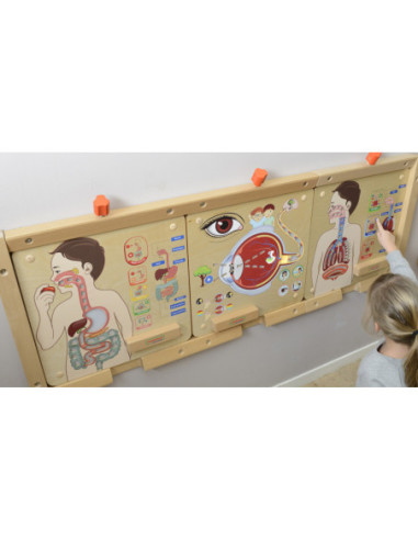 MASTERKIDZ Tablica Edukacyjna Układ Oddechowy