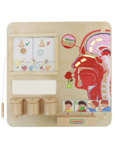 MASTERKIDZ Tablica Edukacyjna Zmysł Węchu