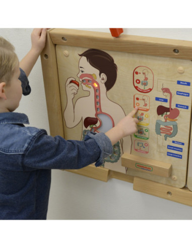 MASTERKIDZ Tablica Edukacyjna Układ Trawienny
