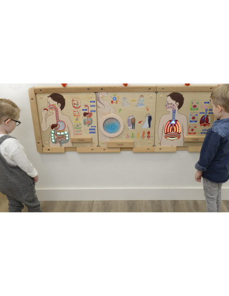 MASTERKIDZ Tablica Edukacyjna Układ Trawienny