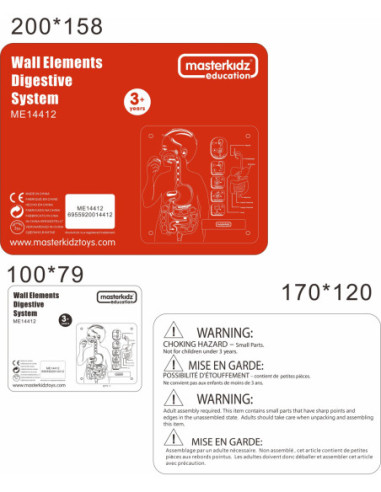 MASTERKIDZ Tablica Edukacyjna Układ Trawienny