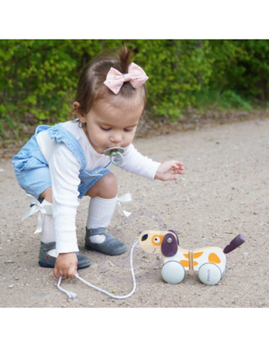 Viga PolarB Drewniany Piesek do Ciągnięcia