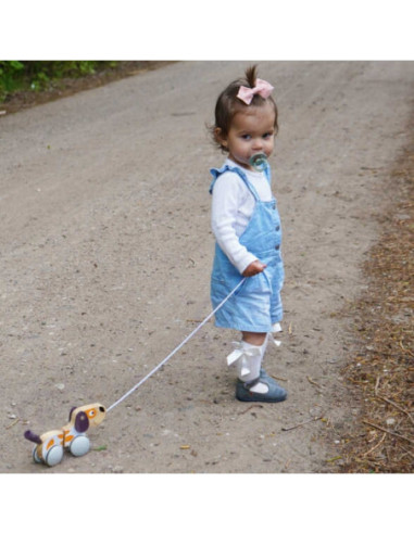 Viga PolarB Drewniany Piesek do Ciągnięcia