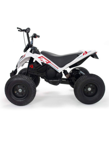 Elektryczny Quad X-Treme Dirt 24 V Injusa
