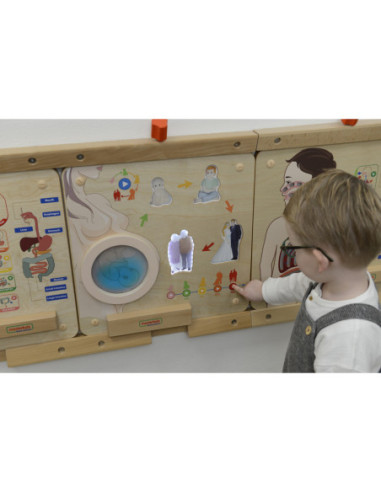 MASTERKIDZ Tablica Edukacyjna Cykl Życia Człowieka