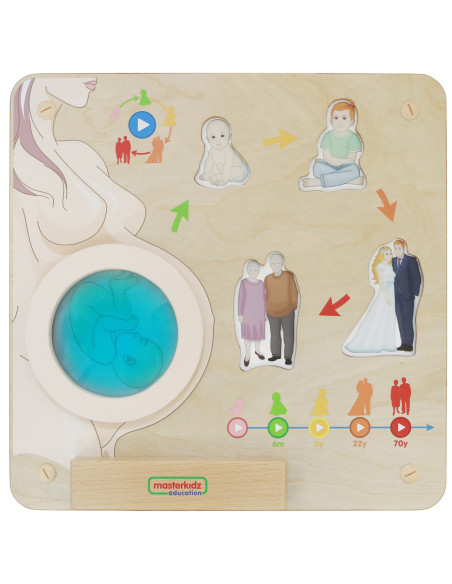 MASTERKIDZ Tablica Edukacyjna Cykl Życia Człowieka