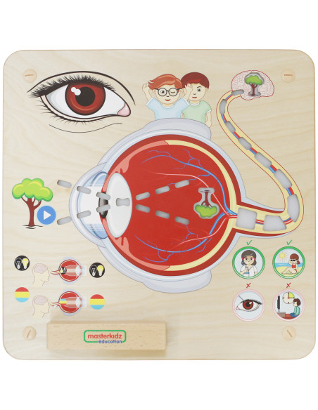 MASTERKIDZ Tablica Edukacyjna Zmysł Wzroku