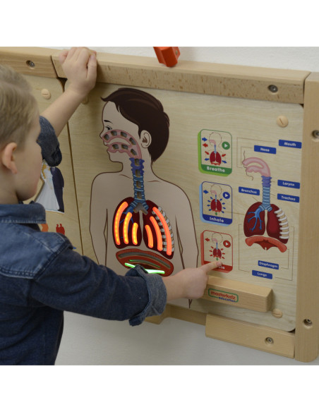 MASTERKIDZ Tablica Edukacyjna Układ Oddechowy