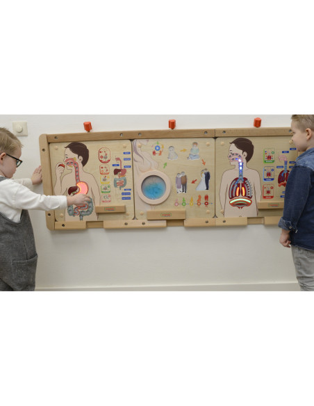 MASTERKIDZ Tablica Edukacyjna Układ Trawienny