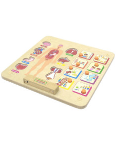 MASTERKIDZ Montessori Human Body System Educational Board