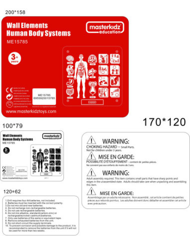 MASTERKIDZ Tablica Edukacyjna Układ Ciała Ludzkiego
