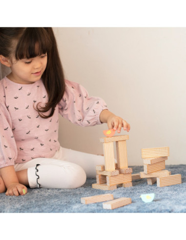 CLASSIC WORLD Gra Edukacyjna Układanie Ptaków