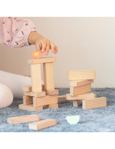 CLASSIC WORLD Gra Edukacyjna Układanie Ptaków