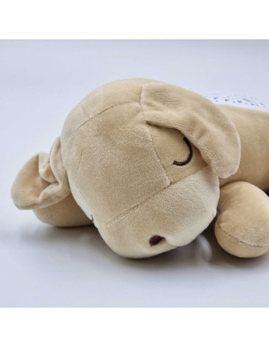 WOOPIE Przytulanka Projektor 2w1 Usypiacz Miś