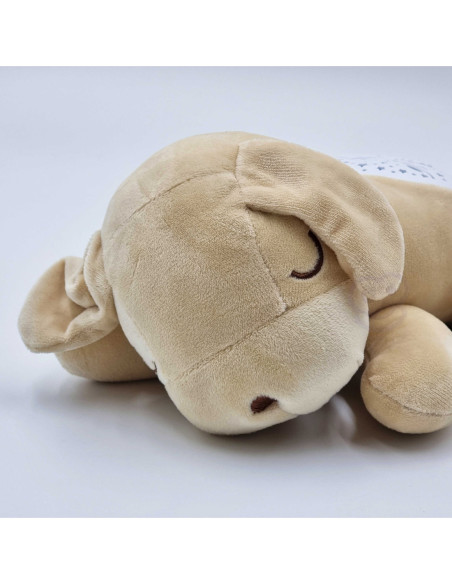 WOOPIE Przytulanka Projektor 2w1 Usypiacz Miś