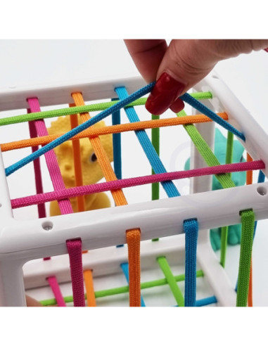 WOOPIE Elastyczna Kostka Sensoryczna Sorter dla Dzieci 6 el.