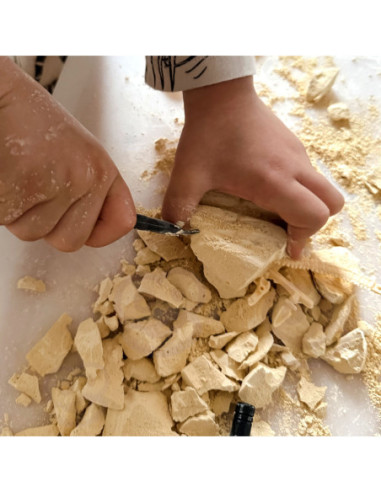 WOOPIE Zabawka Kreatywna Dinozaur Szkielet Wykopalisko Archeologiczne