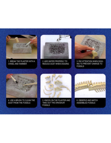 WOOPIE Zabawka Kreatywna Dinozaur Szkielet Wykopalisko Archeologiczne