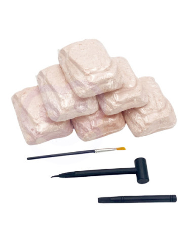 WOOPIE Wykopalisko 6w1 Dinozaur Szkielet Mały Archeolog