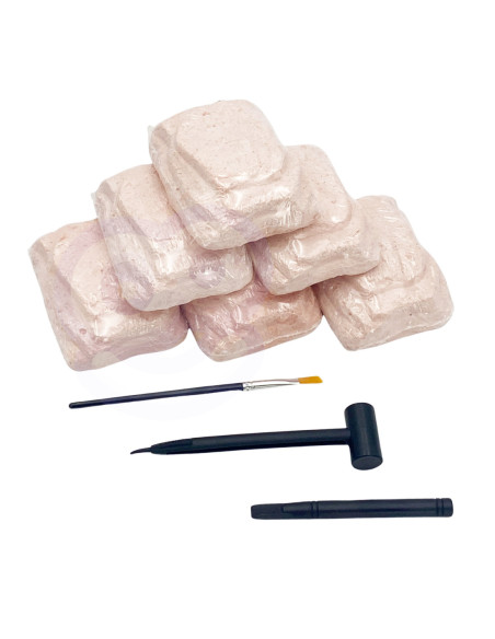 WOOPIE Wykopalisko 6w1 Dinozaur Szkielet Mały Archeolog