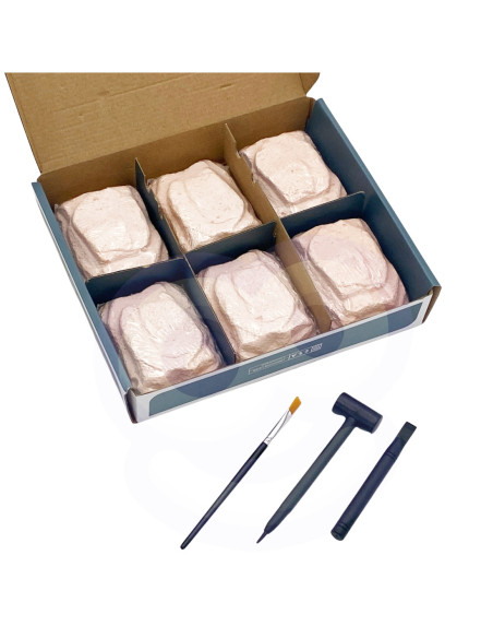 WOOPIE Wykopalisko 6w1 Dinozaur Szkielet Mały Archeolog