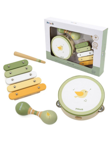 VIGA PolarB Zestaw Instrumentów Muzycznych Zielony