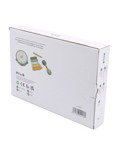 VIGA PolarB Zestaw Instrumentów Muzycznych Zielony