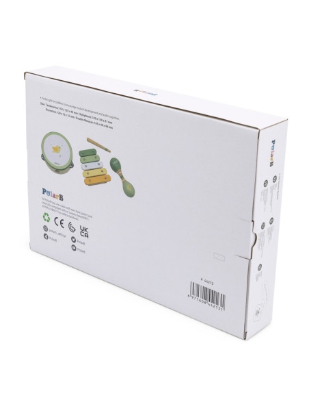 VIGA PolarB Zestaw Instrumentów Muzycznych Zielony