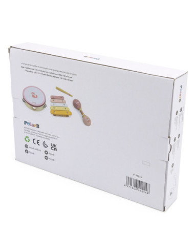 VIGA PolarB Zestaw Instrumentów Muzycznych Różowy