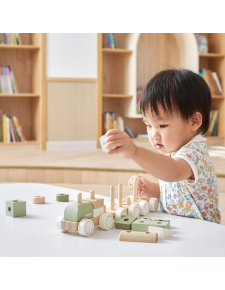 VIGA POLARB Zielona Kolejka Pociąg z Wagonikami Klocki