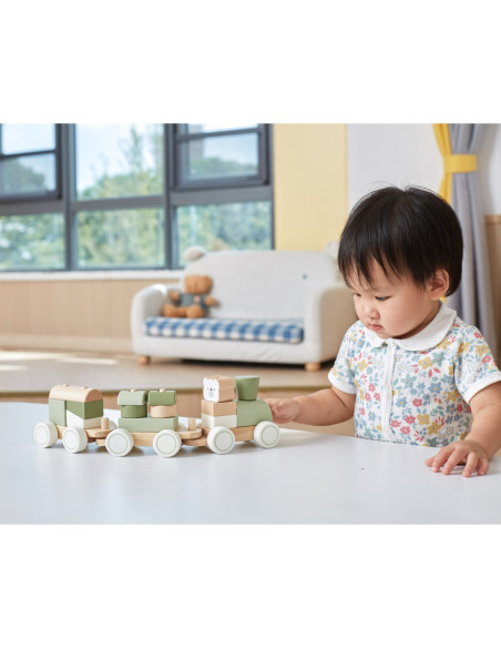 VIGA POLARB Zielona Kolejka Pociąg z Wagonikami Klocki