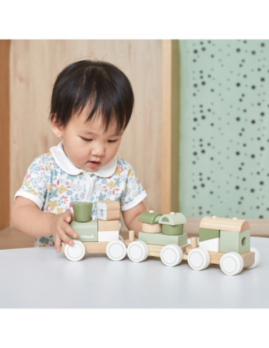 VIGA POLARB Zielona Kolejka Pociąg z Wagonikami Klocki