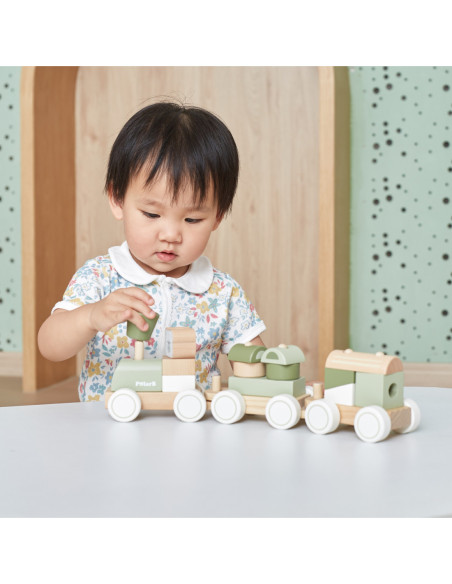 VIGA POLARB Zielona Kolejka Pociąg z Wagonikami Klocki