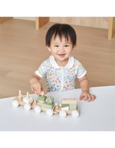 VIGA POLARB Zielona Kolejka Pociąg z Wagonikami Klocki