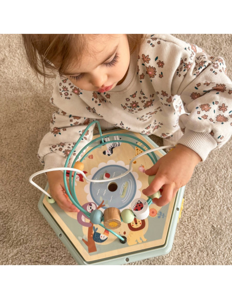 TOOKY TOY Interaktywny Drewniany Sześciokąt Montessori Otwierane Pudełko