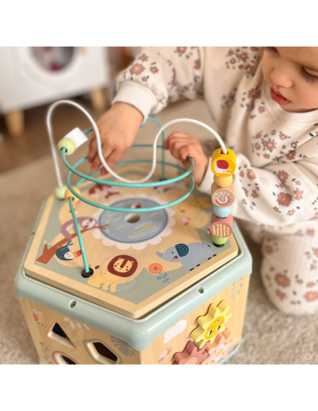 TOOKY TOY Interaktywny Drewniany Sześciokąt Montessori Otwierane Pudełko