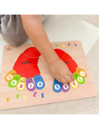 TOOKY TOY Edukacyjna Drewniana Układanka Stopy Nauka Liczenia i Kolorów