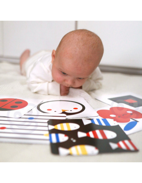 TOOKY TOY Box Pudełko XXL Montessori Edukacyjne 7w1 Sensoryczne 0-2 Mies