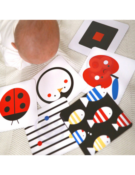 TOOKY TOY Box Pudełko XXL Montessori Edukacyjne 7w1 Sensoryczne 0-2 Mies