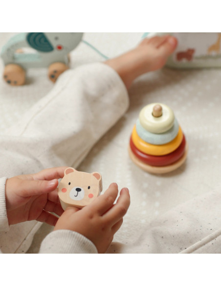 WOOPIE GREEN Pudełko Sorter Box 3w1 Klocki Piramidka Słonik