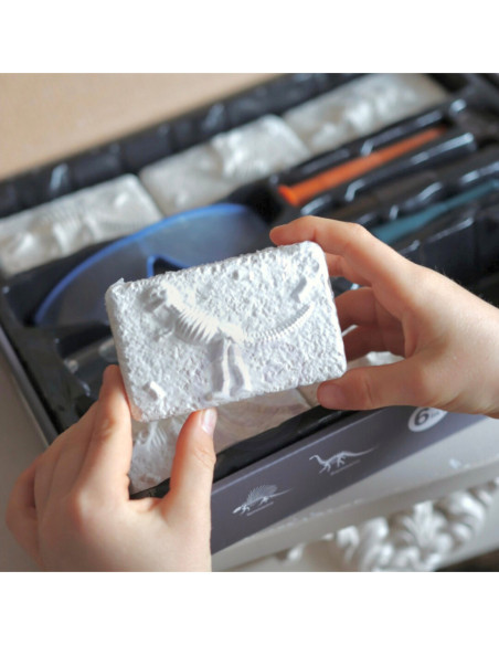 WOOPIE Wykopalisko "Mały Archeolog" 6 Szkieletów Dinozaurów