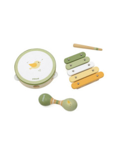 VIGA PolarB Zestaw Instrumentów Muzycznych Z Ptaszkiem