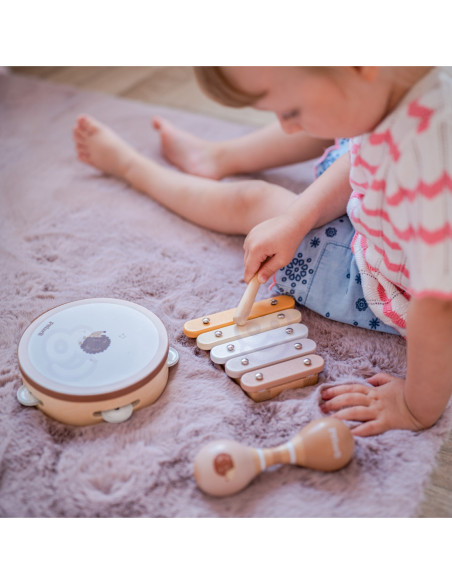 VIGA PolarB Zestaw Instrumentów Muzycznych Z Ptaszkiem